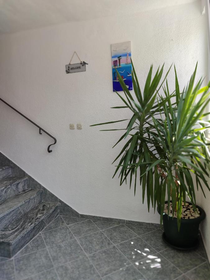Apartments And Rooms Marica 马卡尔斯卡 外观 照片